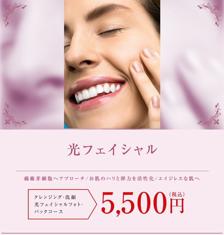 線維芽細胞へアプローチ