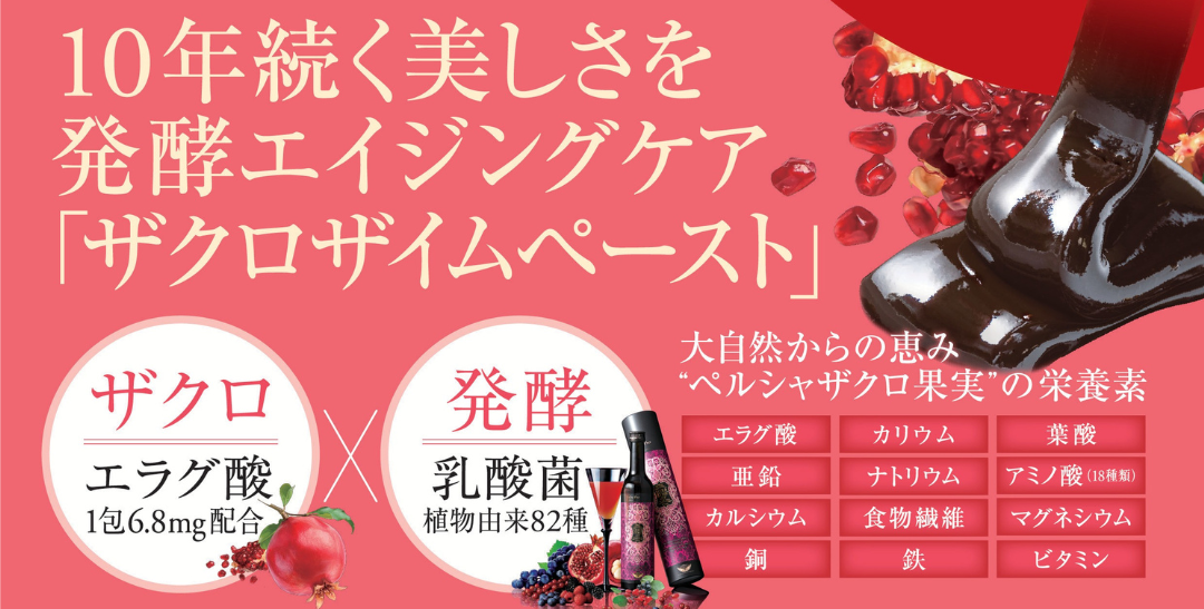 牛久エステTMR Mizueが提供する発酵エイジングケア「ザクロザイムペースト」のコンセプト画像。ザクロの実と発酵を連想させるイラストが描かれ、「10年続く美しさを発酵エイジングケア」というキャッチコピー。「大自然からの恵み ペルシャザクロ果実の栄養素」としてエラグ酸、乳酸菌、各種栄養素（亜鉛、ナトリウム、カリウム、アミノ酸、食物繊維、鉄、銅、ビタミン）がリストされている